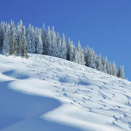 In Hinterglemm Near Area *