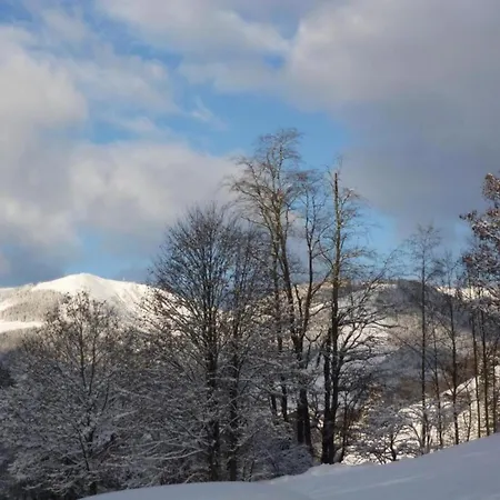 In Near Slopes