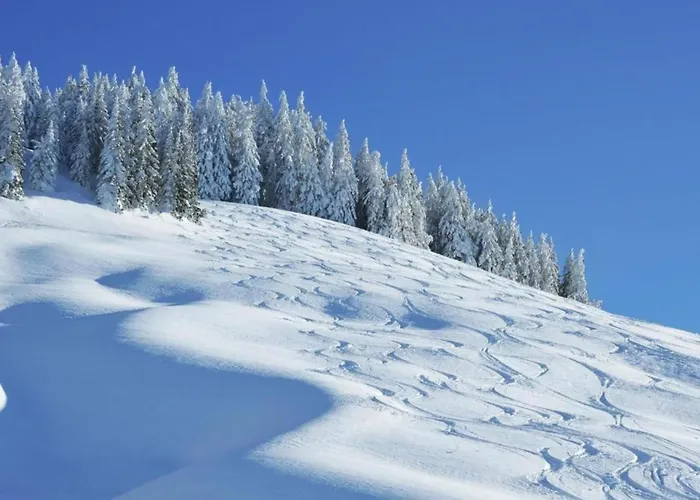 In Near Slopes *