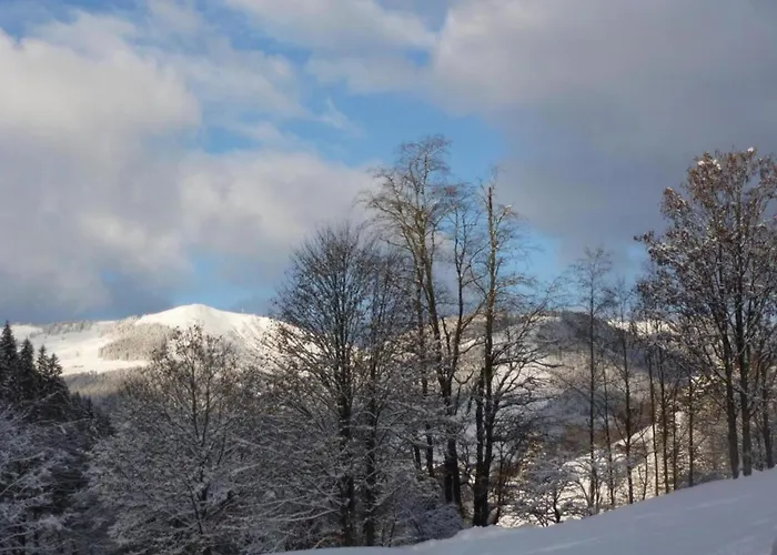 In Near Slopes
