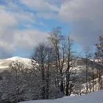 In Near Slopes