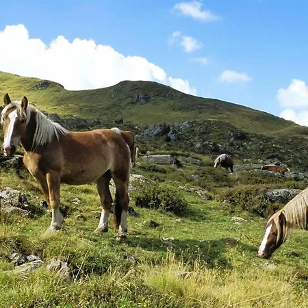 In Near Slopes Saalbach-Hinterglemm