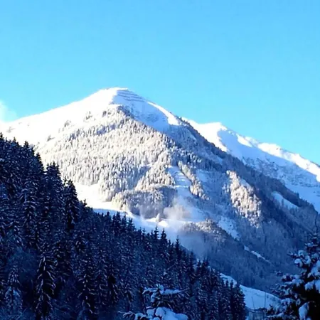 Apartmán In Near Slopes