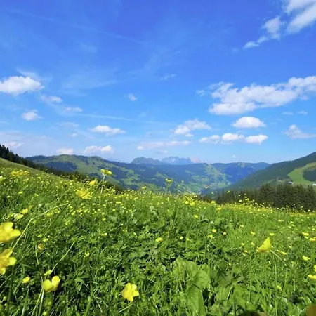 Apartmán In Near Slopes *