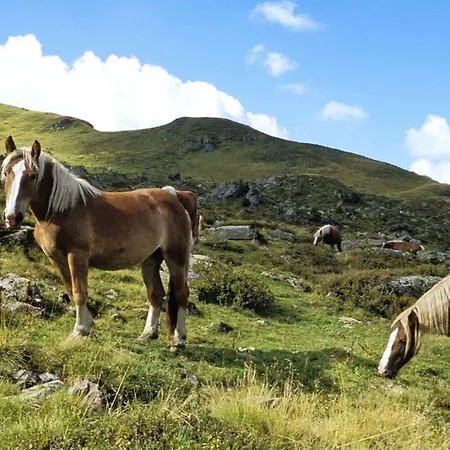 In Near Slopes * Saalbach-Hinterglemm